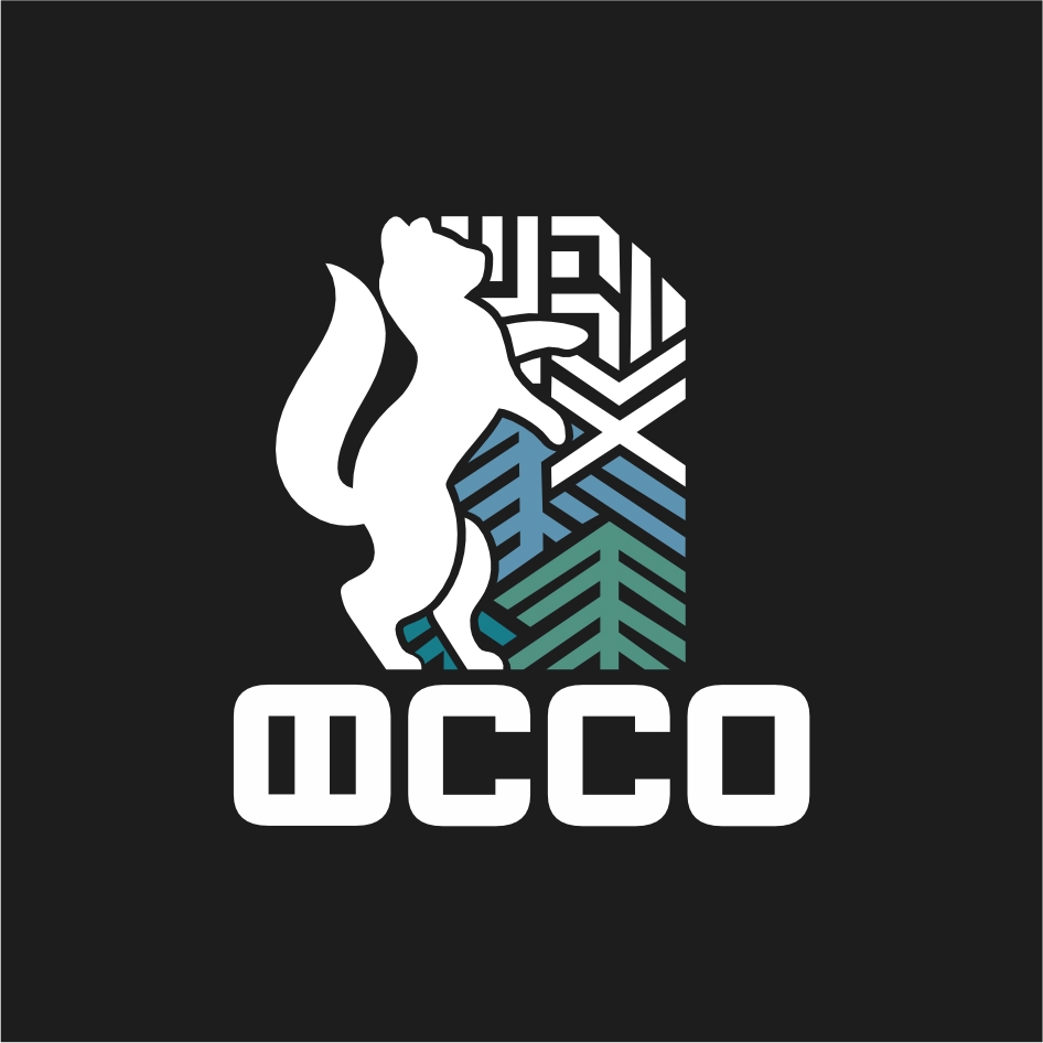 ФССО